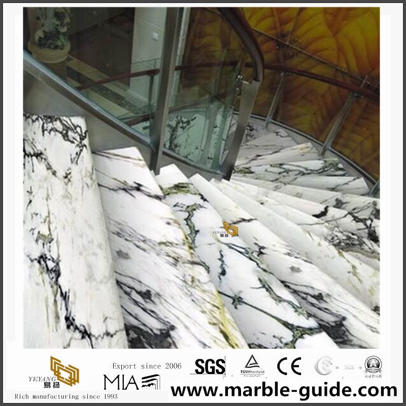 Orchid Onyx projects 05.jpg